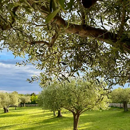 Casa Vari Villa