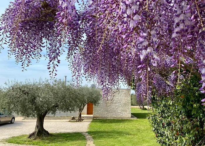Casa Vari Βίλα Ρόβινι
