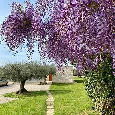 Casa Vari Villa Rovigno