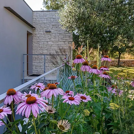 Βίλα Casa Vari *